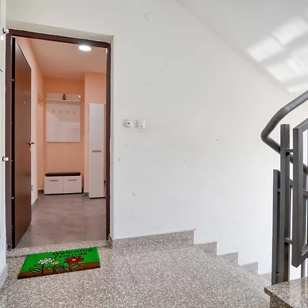 Apartament V&v *